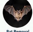 Bat exclusion