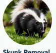 Skunk control